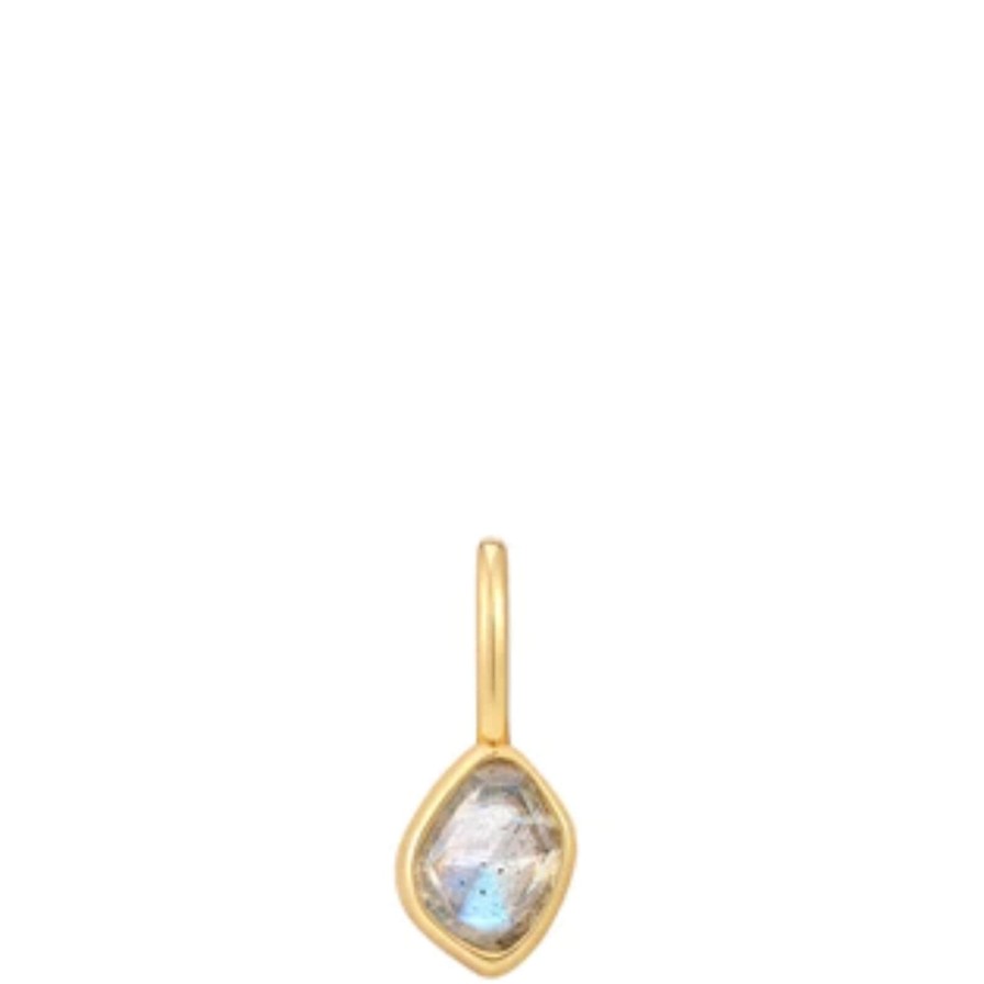 Ania Haie Pop Charm Ania Haie Pop Charms Gold Labradorite Charm New