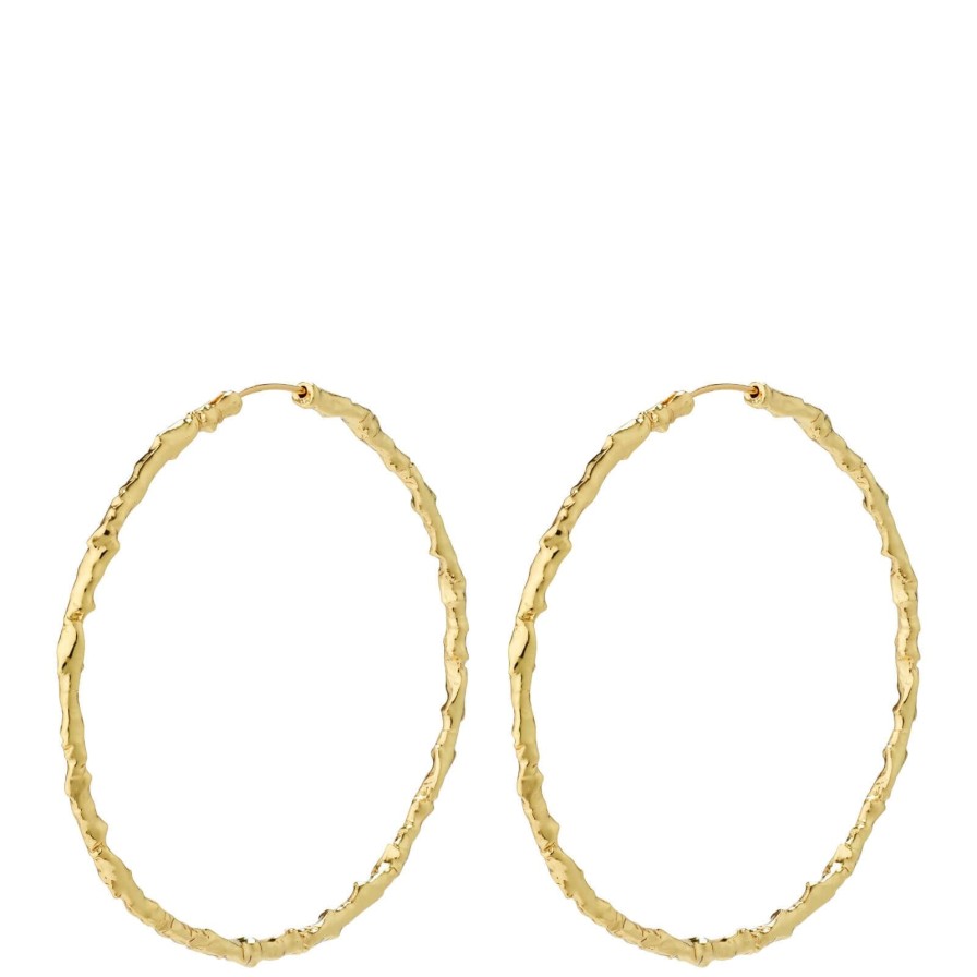 Pilgrim Pilgrim Sun Gold Large Hoop Earrings Best